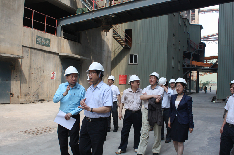 2013年5月3日，武汉市副市长刘立勇视察湖北亚东水泥公司，田隆首席副总经理热情接待。